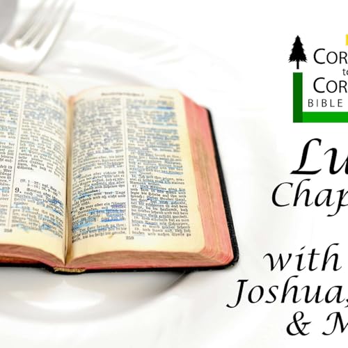 The Gospel According to Luke Chapter 3