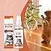 Watreketal 4floz Pet Training Sprays Citrus Extracts Creates Odor Barrier Stop Cats Climbing Bed Sofa Indoor Furniture Protections Furniture Safe Cats Sprays