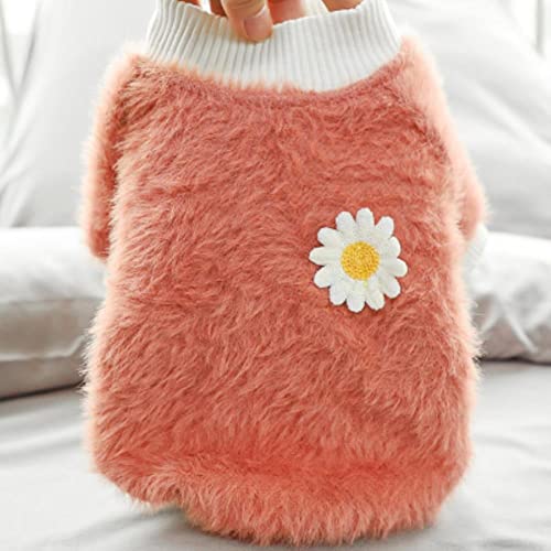 Manteau chiens velours rembourré mignon style sweat à capuche