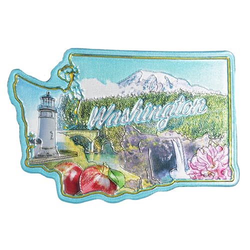 Imán decorativo para refrigerador Washington pequeño miniatura 1