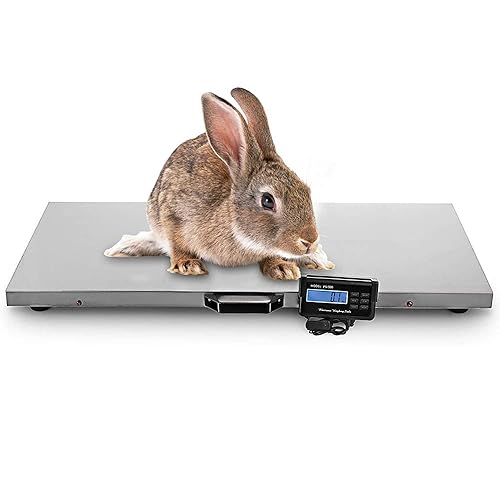 Miniatura 5 de Báscula digital, báscula de ganado de acero inoxidable, plataforma de báscula veterinaria grande para mascotas, báscula electrónica de envío postal