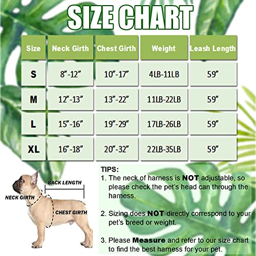 Image of HDKUW Dog Harness and Leash Set, Adjustable Dog Vest Harness Set, Outdoor Walking Vest Harness for French Bulldog and Puppy Small Medium Large Dog XL