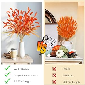 8Pcs Fake Fall Flowers Stems, 28inch Artificial Orange Bunny Tail Flowers Faux Fall Floral Arrangements for Vase Home Wedding Centerpieces Fall Thanskgiving Decor 8Pcs Fake Fall Flowers Stems 28inch Artificial Orange Bunny Tail Flowers Faux Fall Floral Arrangements for Vase Home Wedding Centerpieces Fall Thanskgiving Decor