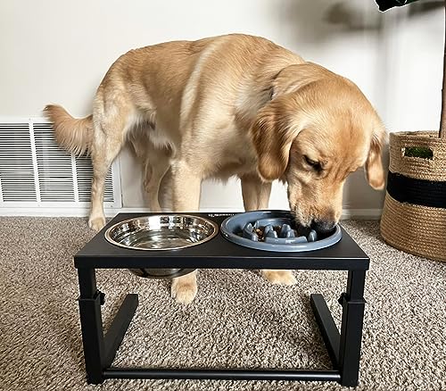 Pecute Ciotole per Cani Rialzate, Ciotola Cane con...