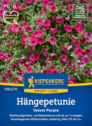 Kiepenkerl Profi-Line Hängepetuniensamen Velvet Purple 1064270 - Blühfreudige Beet- und Balkonblume - Höhe 20-40 cm - Blumensamen, Blumenwiese Samen