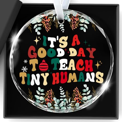 Decorazioni personalizzate per insegnanti, con scritta "It's a Good Day To Teach Tiny Humans Teacher" Regali per donne Thank You For Helping Me Grow Fun Indoor Home Party Tree Ornaments