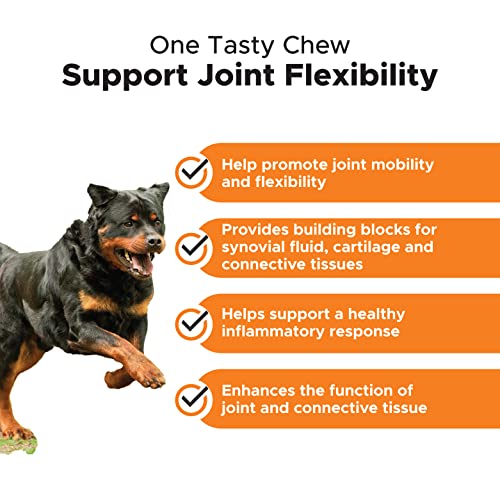 Pethonesty Hemp Hip & Joint Supplement For Dogs - Hemp Oil & Hemp Powder - Glucosamine Chondroitin For Dogs, Turmeric, Msm, Green-Lipped Mussel, Supports Mobility, May Reduce Discomfort (Bacon) #TOP2