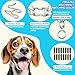 Tangle-Free 360° Swivel Collar with Quick-Release Buckle, Stainless Steel Dog Collar, Adjustable for Small, Medium and Large Dogs (L-3.5mm)