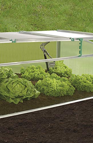 Exaco Biostar 1500 Premium Cold Frame Gardening Tool, Pack Of 1, Clear #TOP1