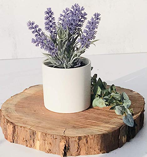 Kurrajong Farmhouse Large Fake Lavender Plant | Artificial Lavender Plant | Faux Lavender Plant (Small White Ceramic Pot, Plain White Matte Ceramic Pot 3" Wide) #TOP2