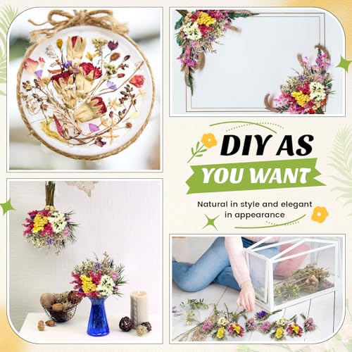 Mini flores secas bouquet olvídame no 60 pcs miniatura 6