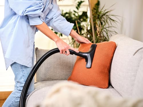 Handstaubsauger mit Kabel Eta Omega Apart Deluxe mit Beutel und Zubehör