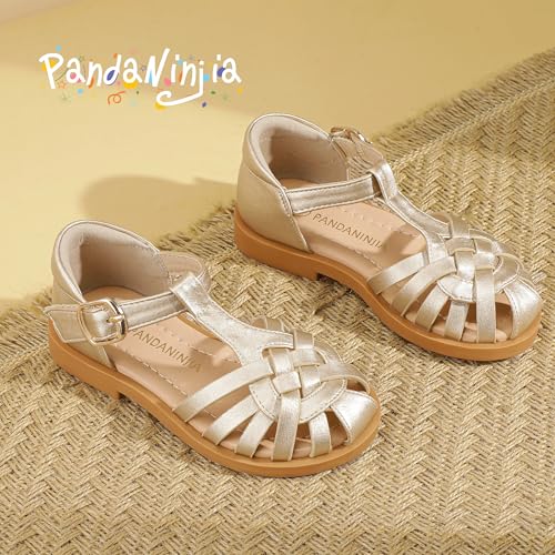 Image of PANDNAINJIA Toddler Girls Sandals T-Strap Dress Summer Shoes