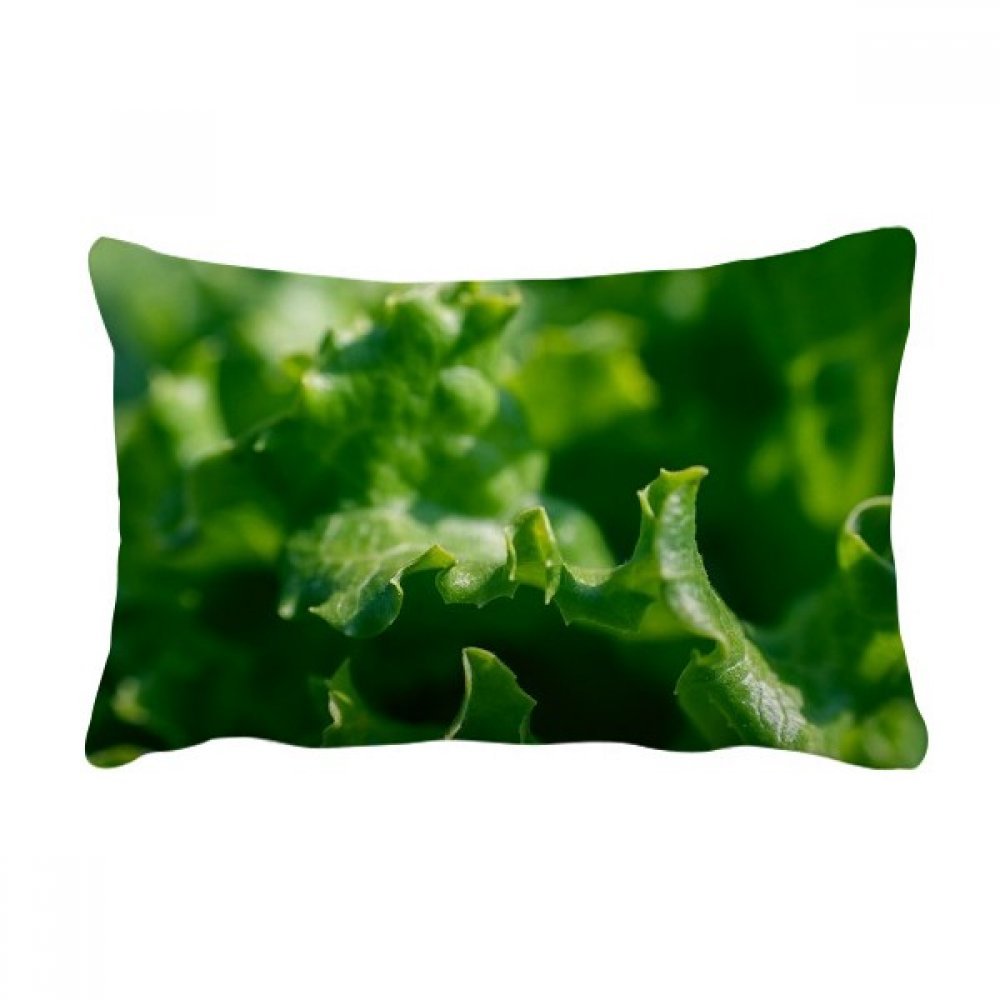 Coussin lombaire pour canapé profond oreiller plante multicolore