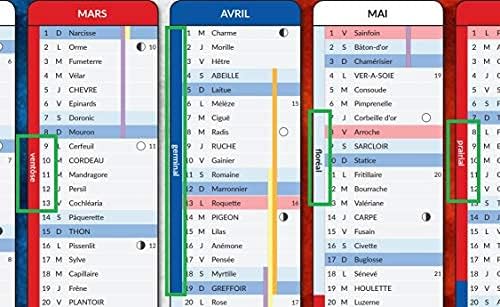 Calendrier Républicain 2023 Calendrier Républicain 2022 - Format A4 - Papier Épais, Prévu Pour Écrire :  Amazon.fr: Fournitures De Bureau