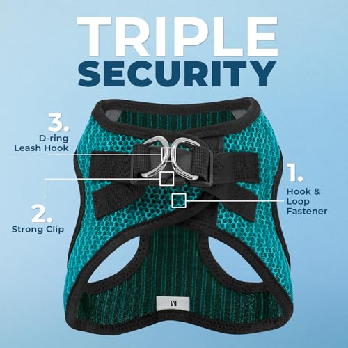 Image of Voyager Step-in Air All Weather Mesh Harness and Reflective Dog 5 ft Leash Combo with Neoprene Handle, for Small, Medium and Large Breed Puppies by Best Pet Supplies - Turquoise (2-Tone), XS