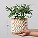 vomiceak Concrete Rattan-Style Plant Basket Planter, 5