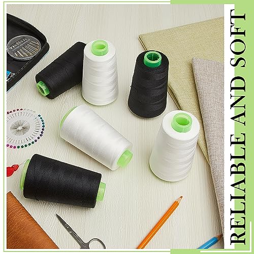 Hilo para overlock Timgle 12 conos 40s/2 3000 yd cada uno miniatura 6