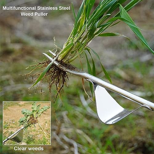 Foto von 2 Stück Hand Unkrautstecher, Unkraut Jäten Werkzeug Distelstecher Löwenzahnstecher Edelstahl Gartenarbeit Gabel mit Naturholzgriff für Garten Gras Graben, Umpflanzen, Jäten