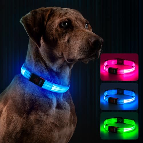 Leuchthalsband Hund, Hundehalsband Leuchtend Aufladbar mit Batteriekontrollleuchte, Wasserdichtes LED Hundegeschirr Leuchtend, Einstellbare Größe 3 Blinkende Lichter
