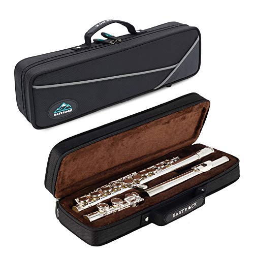 EASTROCK Silver Plated Flute Instrument for Beginner Kids Student，Closed Hole Flutes 16 Keys C Flute with Carrying Case,Stand，Cleaning kit，Gloves，Tuning Rod(Silver Plated)