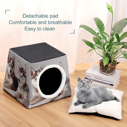 Capsule d'espace chaude et douce, maison isolante pour chat - 7