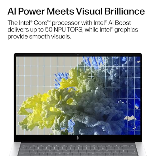 Image of HP OmniBook X 14 inch Next Gen AI PC, 3K Touchscreen, Intel CORE Ultra 7 Processor 356H, 24 GB RAM, 1 TB SSD, Intel Graphics, Windows 11 Home, Glacier Silver, 14-ka0099nr (2026)
