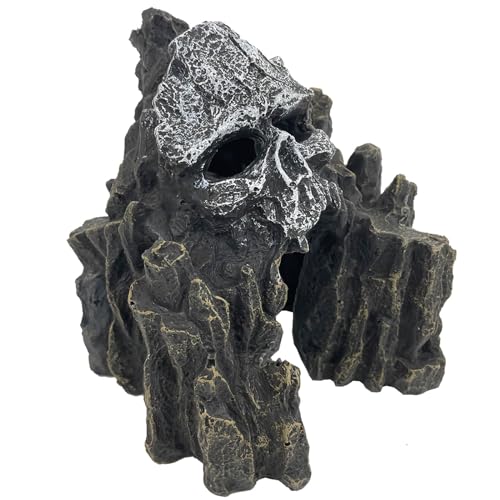 VMCN Small Skull Mountain Rock