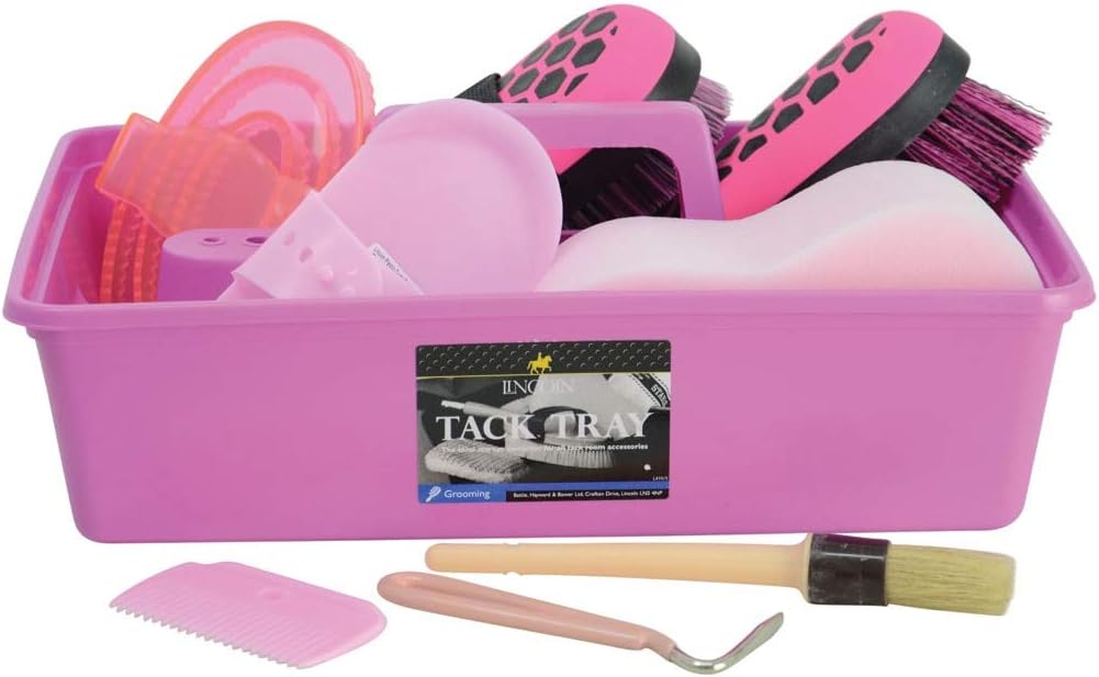 Lincoln Complete Grooming Kit (One Size) (Pink)