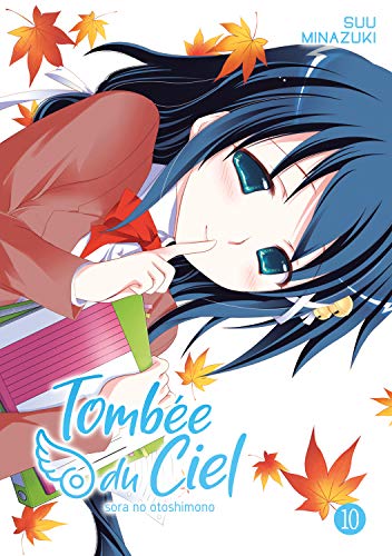 Tombée du Ciel — Tome 10