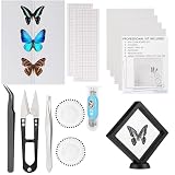 Insect Specimen Tools Kit - EVA Foam Pinning Board, Coordinate Paper, Wings Pressing Paper, Insect Pins & Butterfly Pins, Entomology Kit for Beginners & Hobbyists (PVC Display Case)