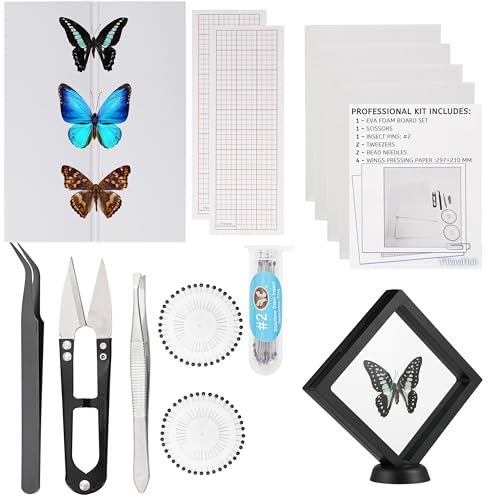 Insect Specimen Tools Kit with PVC Case