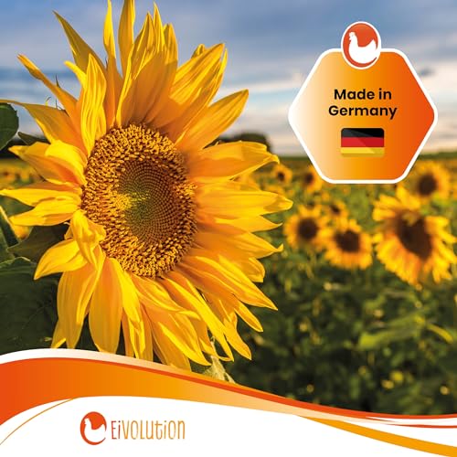 Eivolution Bio-Sonnenblumenkerne 800g - Probiergröße – Ideal für Meisenknödel & Futterspender – Hühner- & Wildvogelfutter – Natürlich, Energiereich, Gentechnikfrei, Winterfutter