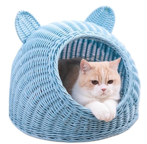 yBiizhezLbgnEX h[^ Lxbh L Lp ^ ې   lGjo[T ʋC (L,u[)