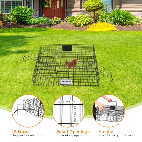 Sumkat Squirrel Trap Live Rodent Cage for Humane Catch and Release, Holds up to 25 Squirrels