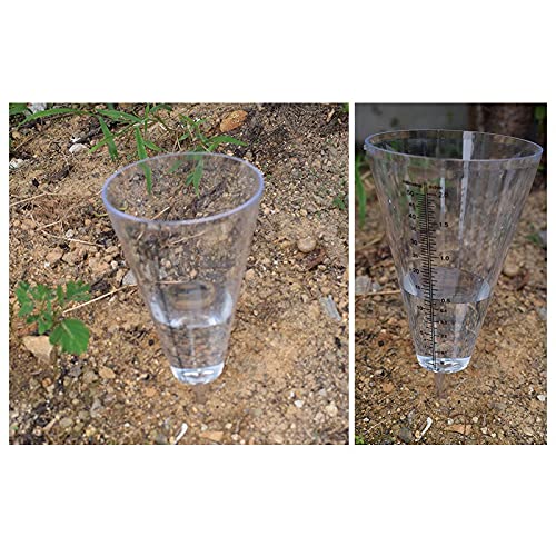 Acryl-Regenmesser – Konisch, 0,3 Cm – 14 Cm Skala, Mit Pfahl (15,2 Cm), Für Garten & Balkon
