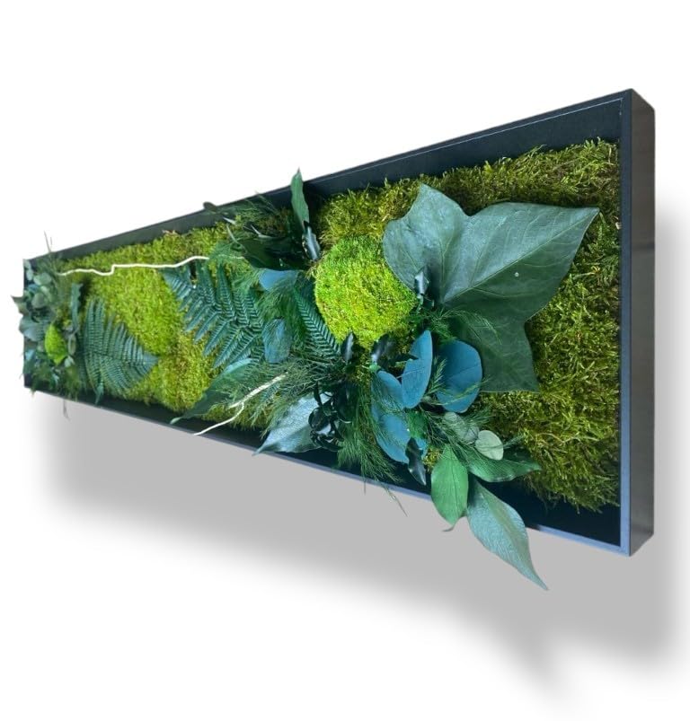 Générique Tableau Végétal Stabilisé Tulum XL 100 x 33 cm – Décoration Murale Naturelle | Plantes Stabilisées Sans Entretien | Fabriqué en France