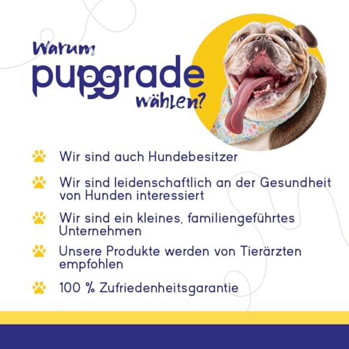 PupGrade Gelenkunterstützung für Hunde – Glucosamin-Chondroitin mit MSM & Grünlippmuschel – Hüft- & Gelenkschmerzlinderung – Für Hunde Aller Größen, Rassen und Altersgruppen – 30 Weiche Kausnacks