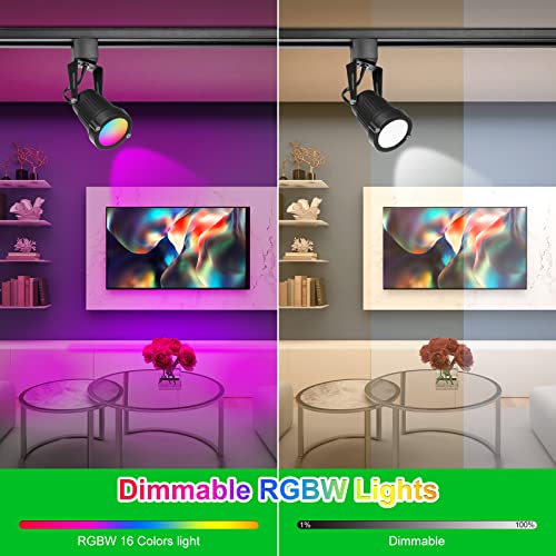 Intwell 12W Rgb Led Track Light Heads,Dimmable Color Changing Track Lighting Head For Accent Task,Retail,Art,Party,Game Room, H Type 120V Multi-Color Rgbw Ceiling Spotlight Halo Type 10 Pack (Black) #TOP3