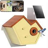 Casa de Pájaros con Cámara, Nido de Pájaros con Cámara Solar, Reconocimiento AI, Detección de Movimiento y Tarjeta SD, Observa a los Pájaros Anidar y Eclosionar en Tiempo Real Duck Egg Blue