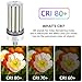 250W LED Corn Light Bulb 2 Pack, 32500Lm 1000w Replacement,5000K E39 Mogul Base LED Bulb,Retrofit HPS HID Lamp for Commercial Industrial High Bay light Wearehouse Gyms Barn Storage Room Workshop