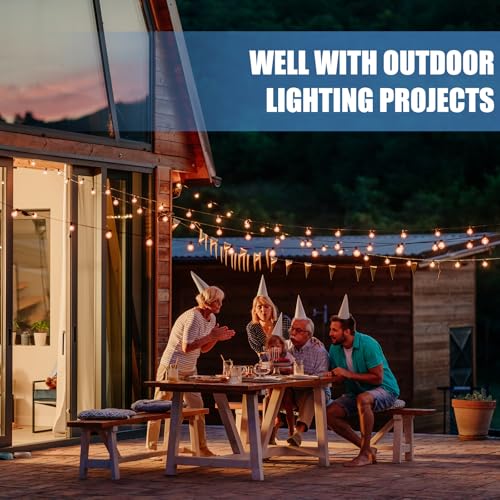 1mm Drahtseil Edelstahl Stahlseil mit 30 Crimphülsen,30m 304 Edelstahlseil Gardinenseil Wäscheleine für Kletterpflanzen, Zaun, Lichter Hängen, Hängeleuchte