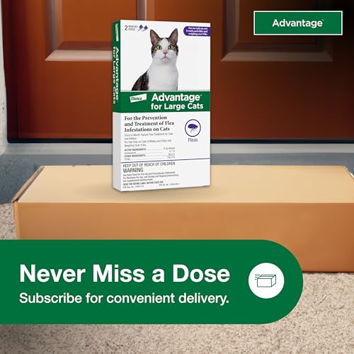 Advantage Topical Cat Flea Treatment and Prevention for Large Cats Over 9 lbs. | Apply Flea Drops Monthly | 2 Treatments,(Pack of 3) - image 7