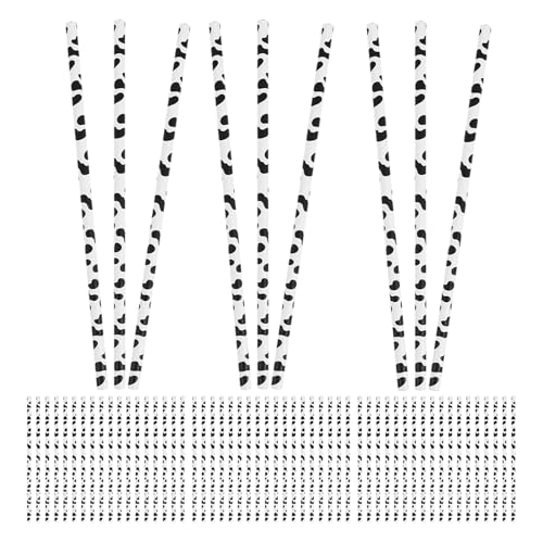 Yardenfun 100  Xg[  Xg[  XeBbN R[q[  p    p[eB[