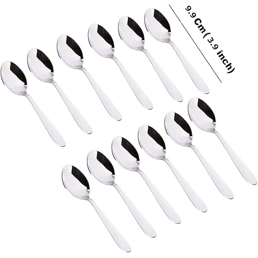 Stainless Steel Spice Box Spoons Set of 12 Silver