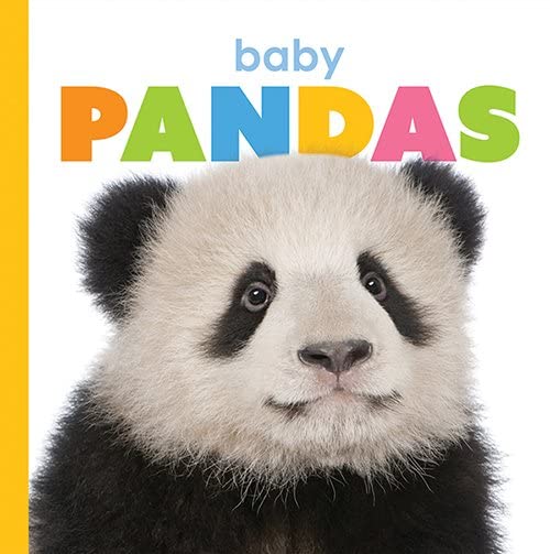 Baby Pandas (Starting Out): Riggs, Kate: 9781628328134: Amazon.com: Books