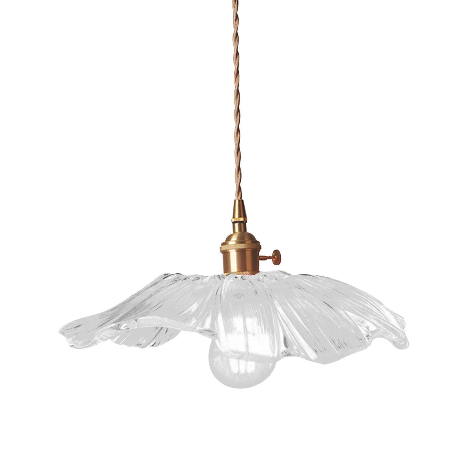 JISADER Modern Adjustable LED Pendant Lights Home Decor Ceiling Lighting Fixture for Shop, Transparent Large