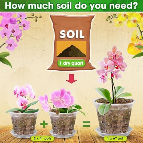 [Upgraded] DUSPRO Orchid Potting Mix for Repotting with Forest Moss, Pine Bark, Perlite & Pumice Natural Ingredients, Orchid Bark Potting Mix, Orchid Repotting Kit Drainage Indoor Potting Medium 2QT - Thumbnail 6