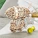 Rolife Build Your Own 3D Wooden Assembly Puzzle Wood Craft Kit Airship Model Gifts for Kids and Adults