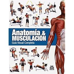 Pesas Para Gimnasio Anatomía & Musculación. Guía visual completa (Color): 0027 (Deportes)